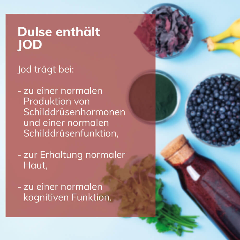 Bio Dulse Pulver