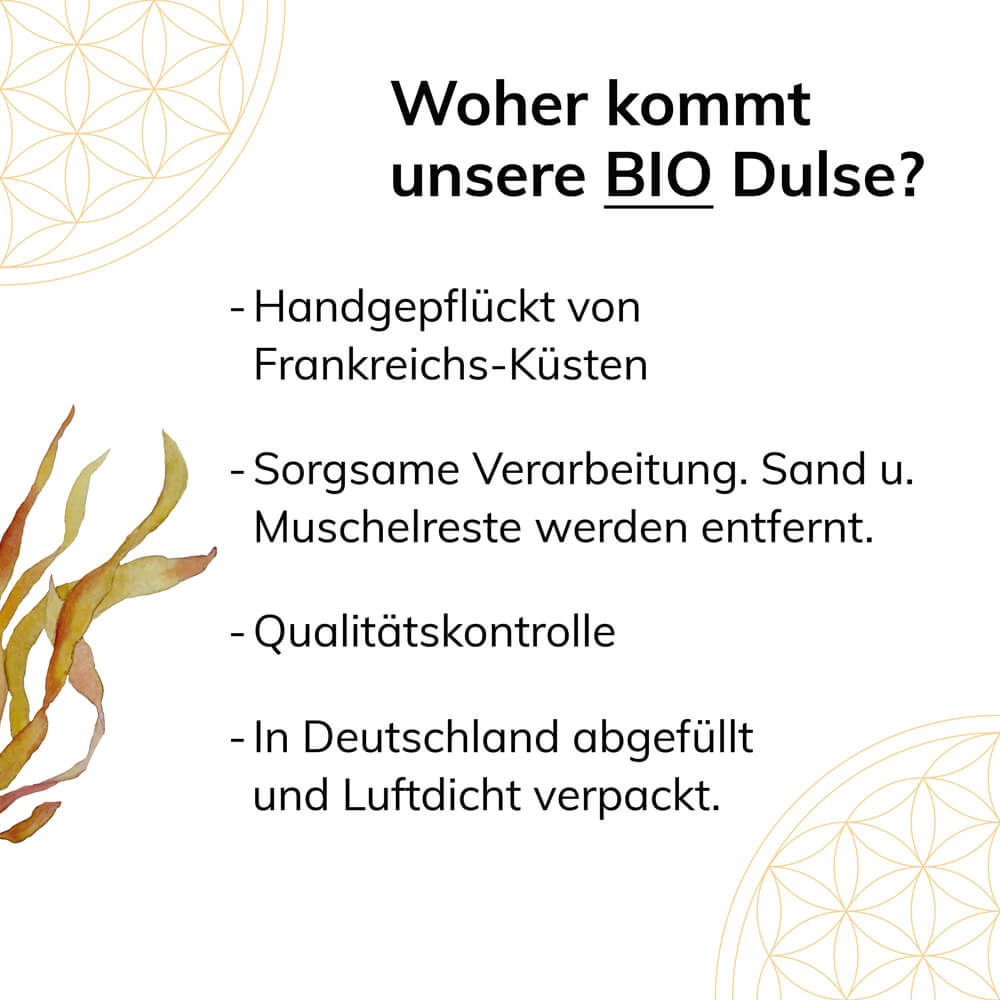 Bio Dulse Pulver