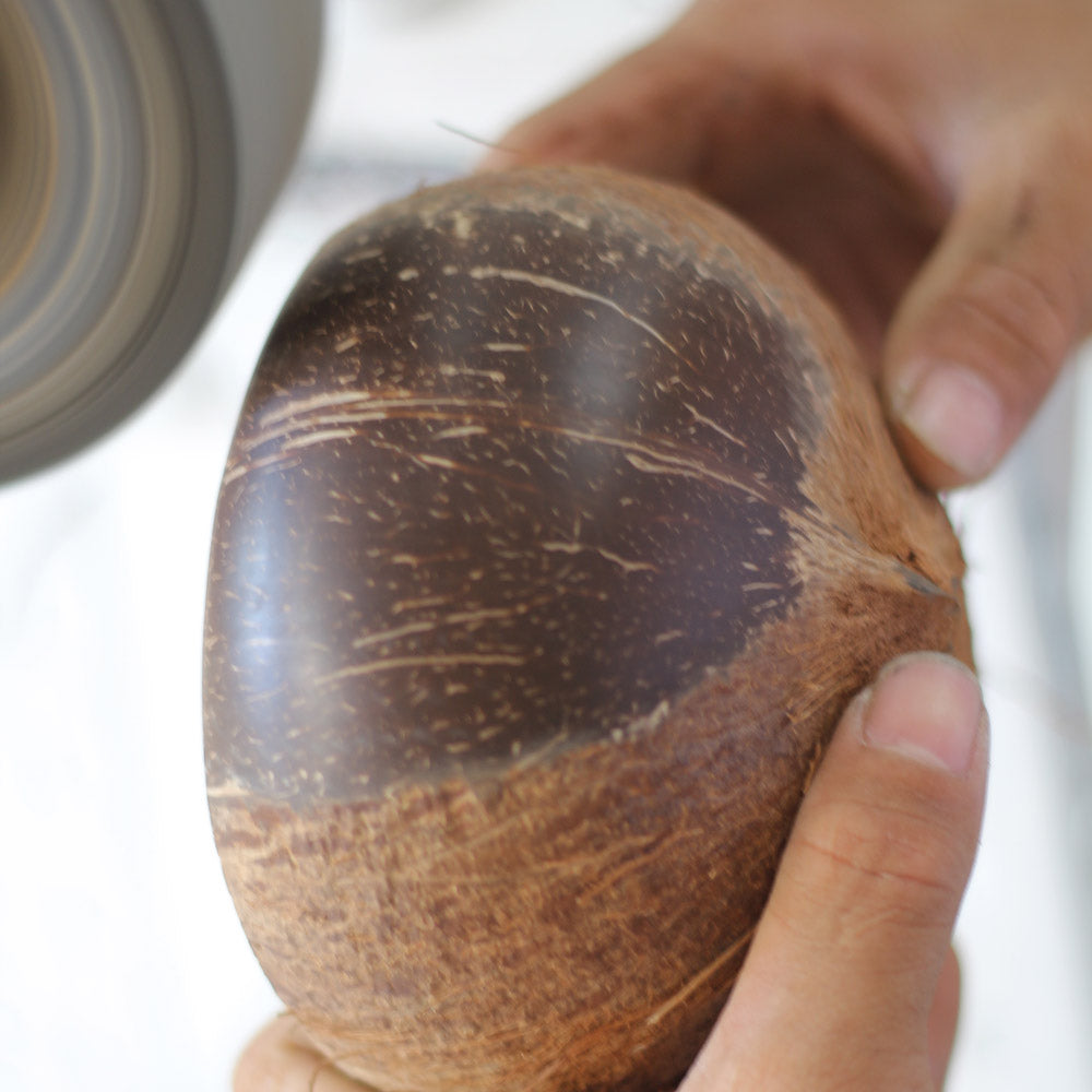 Palm Coconut Bowl